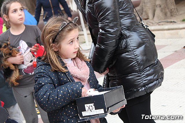 Bendicin de animales San Antn Totana 2019 - 155