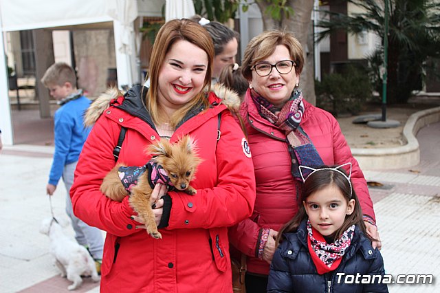 Bendicin de animales San Antn Totana 2019 - 156