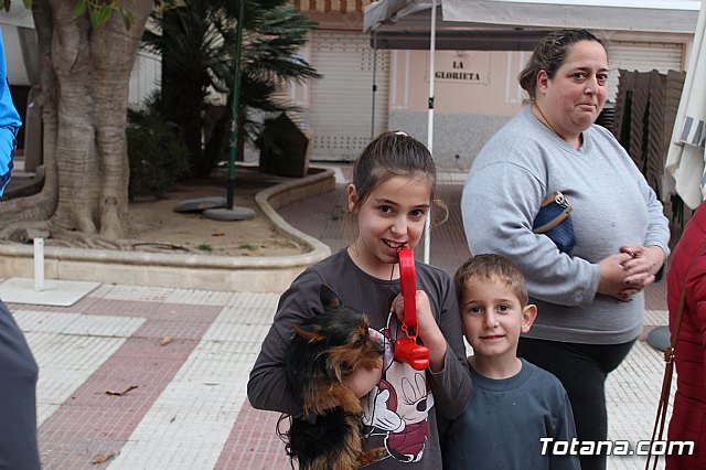 Bendicin de animales San Antn Totana 2019 - 157