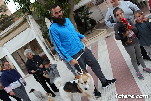 Bendicin de animales San Antn Totana 2019 - 159