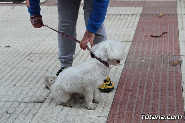 Bendicin de animales San Antn Totana 2019 - 160