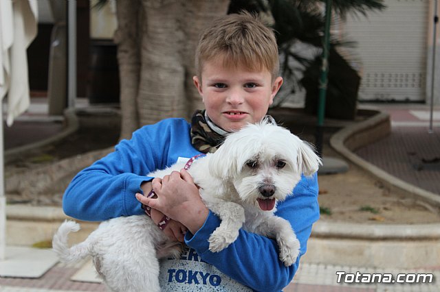 Bendicin de animales San Antn Totana 2019 - 161