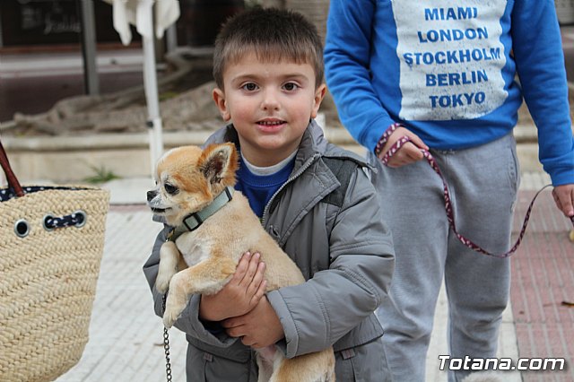 Bendicin de animales San Antn Totana 2019 - 162