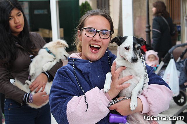 Bendicin de animales San Antn Totana 2019 - 164