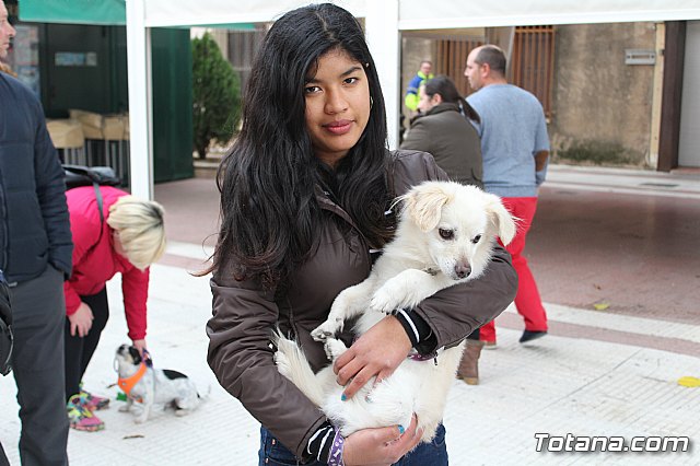 Bendicin de animales San Antn Totana 2019 - 166