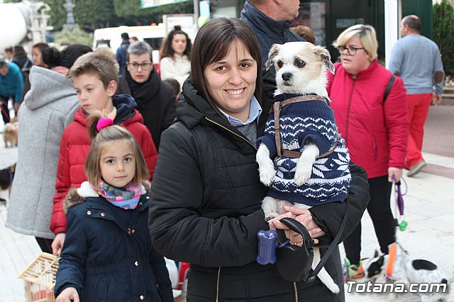 Bendicin de animales San Antn Totana 2019 - 168