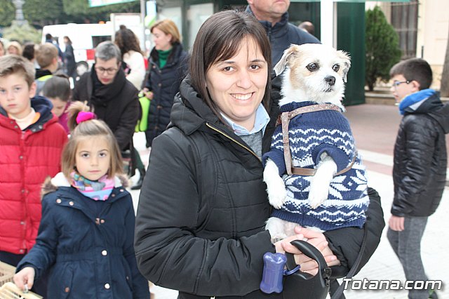 Bendicin de animales San Antn Totana 2019 - 169