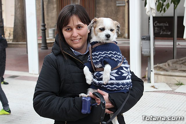 Bendicin de animales San Antn Totana 2019 - 170