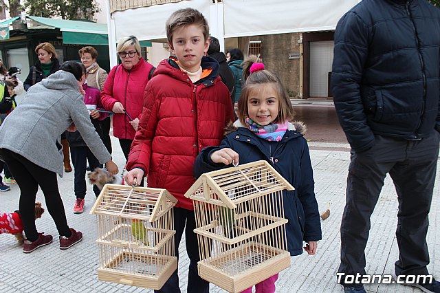 Bendicin de animales San Antn Totana 2019 - 171