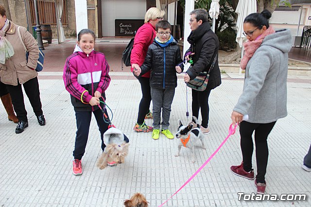 Bendicin de animales San Antn Totana 2019 - 172
