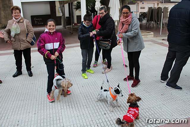 Bendicin de animales San Antn Totana 2019 - 173