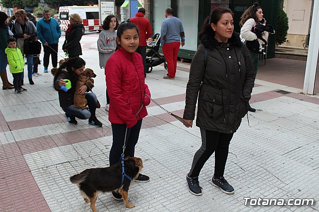 Bendicin de animales San Antn Totana 2019 - 178
