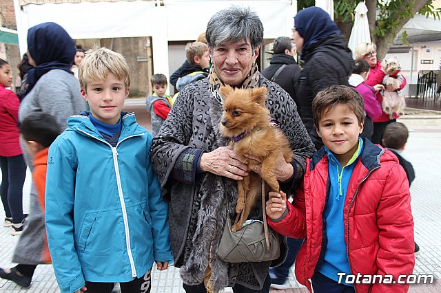 Bendicin de animales San Antn Totana 2019 - 181
