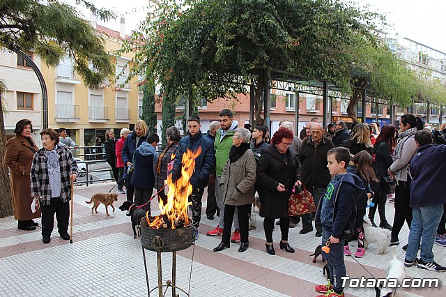 Bendicin de animales San Antn Totana 2019 - 182
