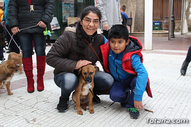 Bendicin de animales San Antn Totana 2019 - 184