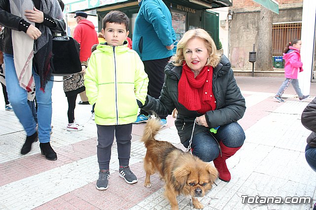 Bendicin de animales San Antn Totana 2019 - 185