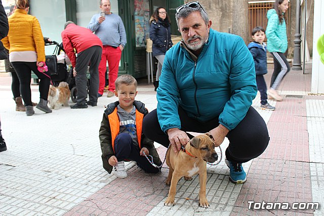 Bendicin de animales San Antn Totana 2019 - 186