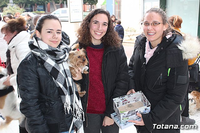 Bendicin de animales San Antn Totana 2019 - 187