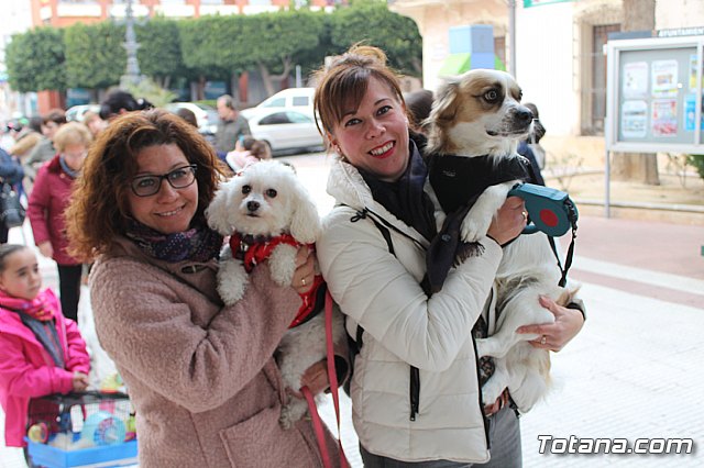 Bendicin de animales San Antn Totana 2019 - 188