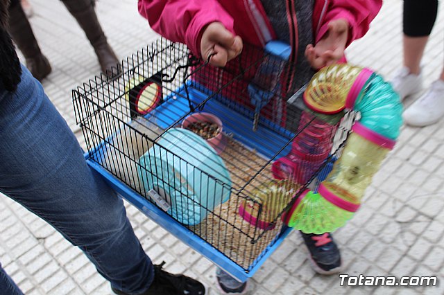 Bendicin de animales San Antn Totana 2019 - 189