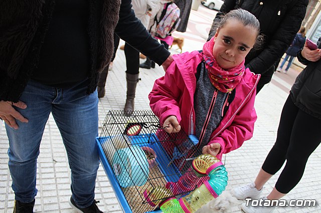 Bendicin de animales San Antn Totana 2019 - 190