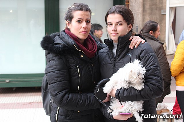 Bendicin de animales San Antn Totana 2019 - 192