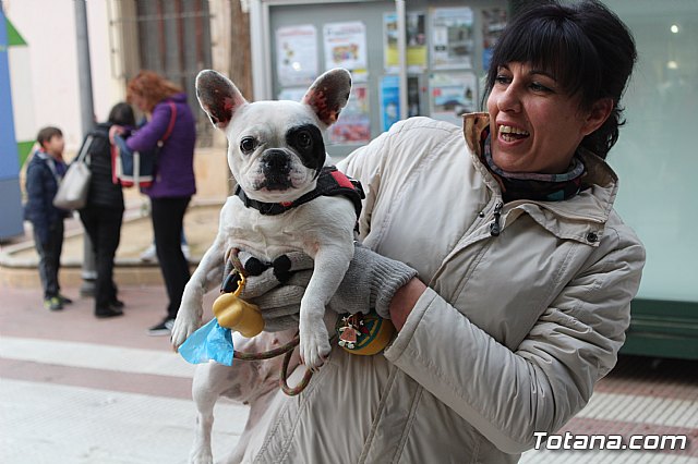 Bendicin de animales San Antn Totana 2019 - 193