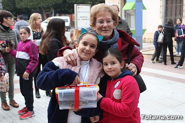 Bendicin de animales San Antn Totana 2019 - 194