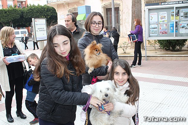 Bendicin de animales San Antn Totana 2019 - 195
