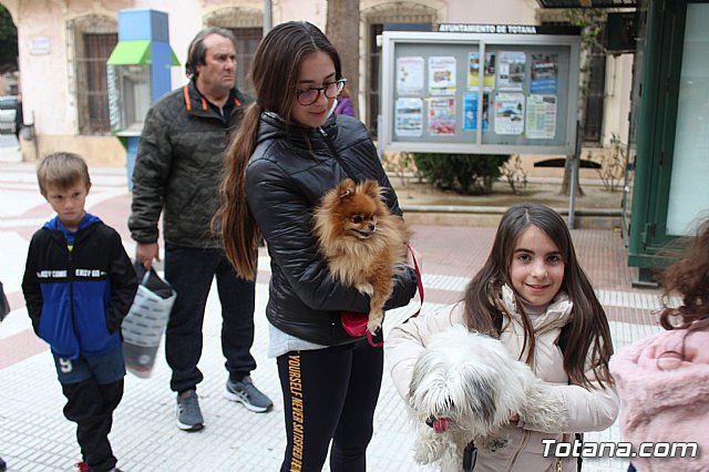 Bendicin de animales San Antn Totana 2019 - 196