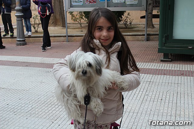 Bendicin de animales San Antn Totana 2019 - 197