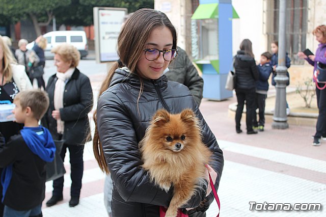Bendicin de animales San Antn Totana 2019 - 198