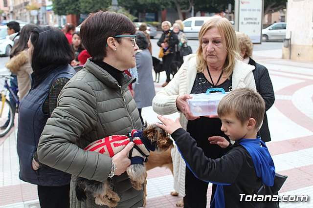 Bendicin de animales San Antn Totana 2019 - 199