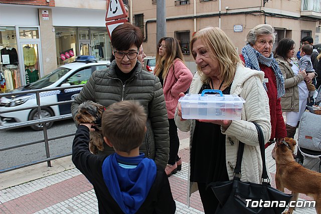 Bendicin de animales San Antn Totana 2019 - 200