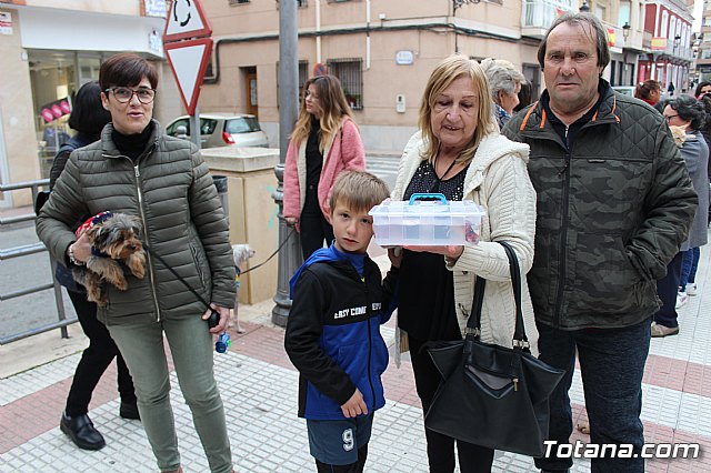 Bendicin de animales San Antn Totana 2019 - 201