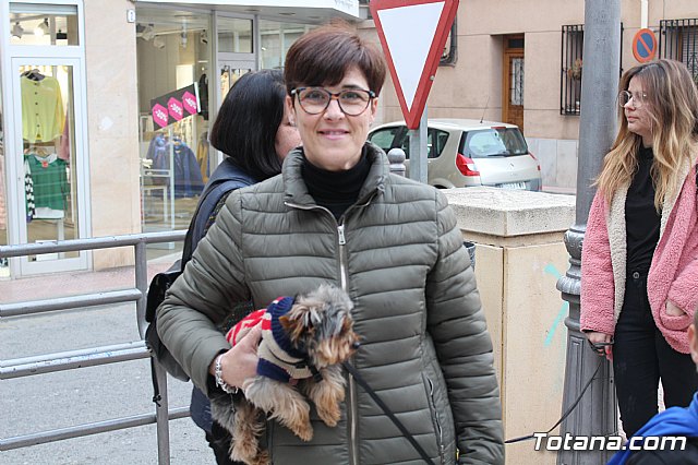 Bendicin de animales San Antn Totana 2019 - 202