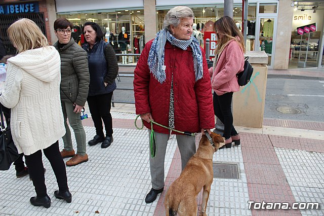 Bendicin de animales San Antn Totana 2019 - 204