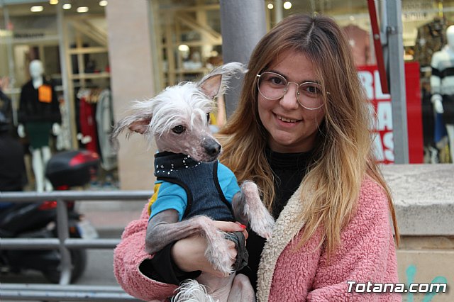 Bendicin de animales San Antn Totana 2019 - 205