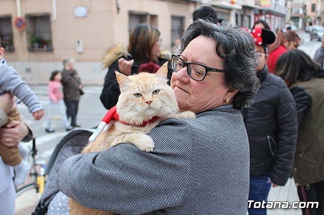 Bendicin de animales San Antn Totana 2019 - 207