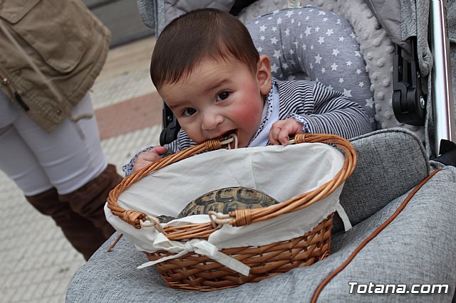 Bendicin de animales San Antn Totana 2019 - 211