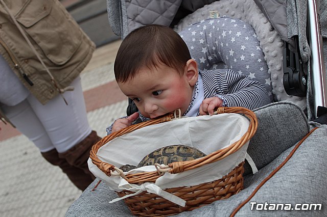 Bendicin de animales San Antn Totana 2019 - 213