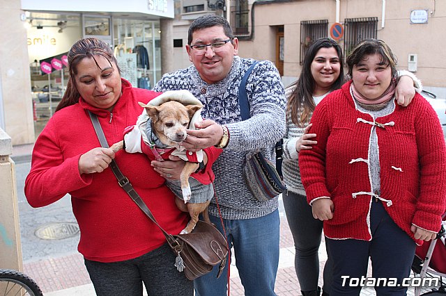 Bendicin de animales San Antn Totana 2019 - 218