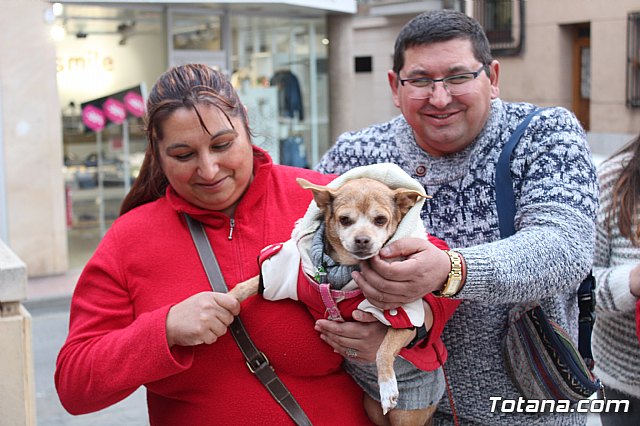 Bendicin de animales San Antn Totana 2019 - 219