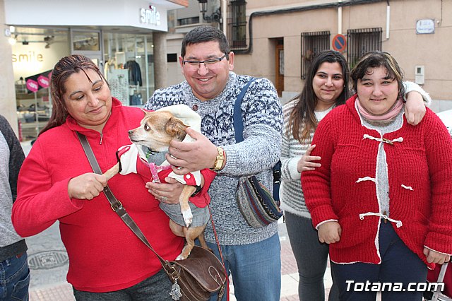 Bendicin de animales San Antn Totana 2019 - 220