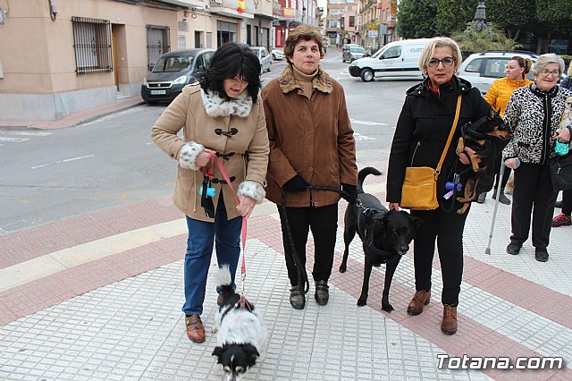 Bendicin de animales San Antn Totana 2019 - 221