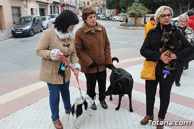 Bendicin de animales San Antn Totana 2019 - 224