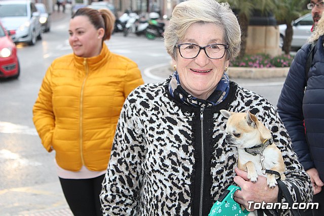 Bendicin de animales San Antn Totana 2019 - 225