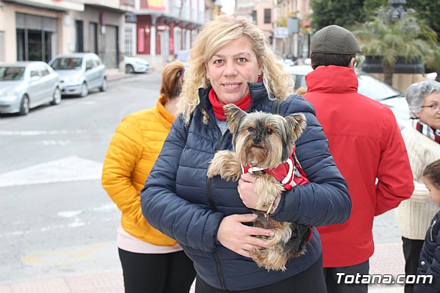 Bendicin de animales San Antn Totana 2019 - 226