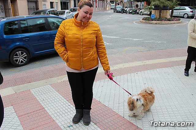 Bendicin de animales San Antn Totana 2019 - 227