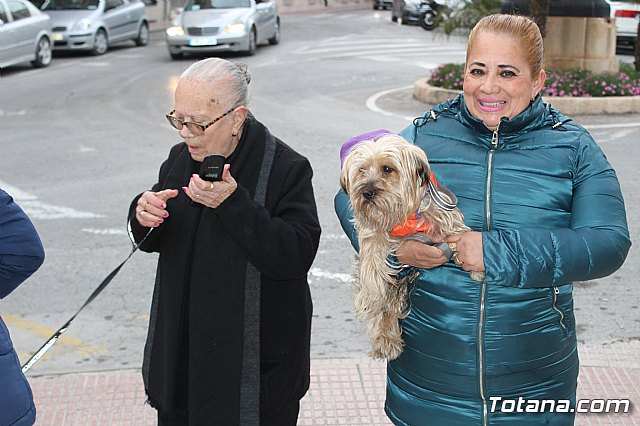 Bendicin de animales San Antn Totana 2019 - 230